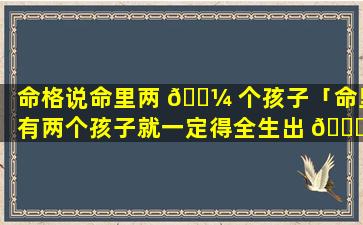 命格说命里两 🐼 个孩子「命里有两个孩子就一定得全生出 🐕 来吗」